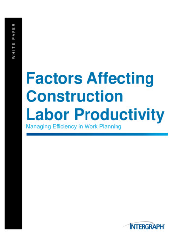 Factors Affecting Construction Labor Productivity