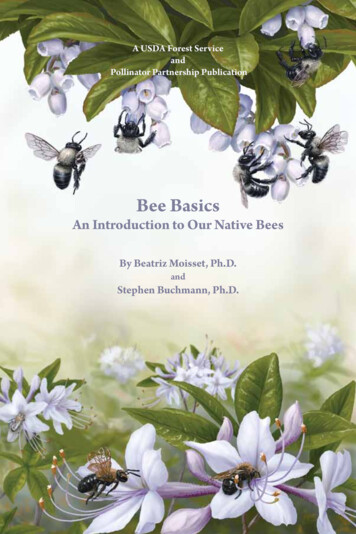 Bee Basics - USDA