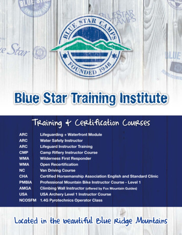 Blue Star Training Institute