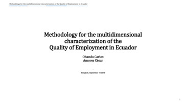 Methodology For The Multidimensional Characterization Of .