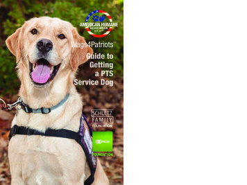 Guide To Getting A PTS Service Dog - American Humane