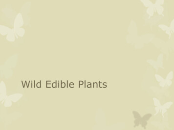 Wild Edible Plants - Urban Farm Hub