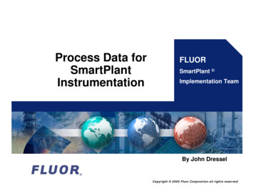 Process Data For SmartPlant Instrumentation Implementation .