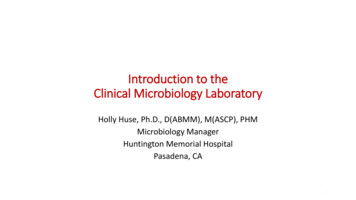 Introduction To The Clinical Microbiology Laboratory