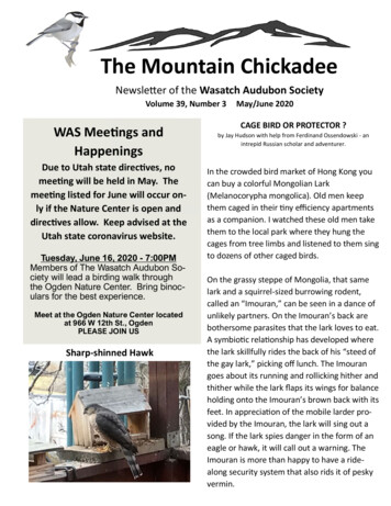 The Mountain Hickadee - Wasatch Audubon Society: Ogden, 