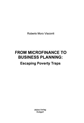 Roberto Moro Visconti FROM MICROFINANCE TO BUSINESS FLANNING . - GBV