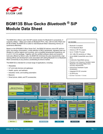 BGM13S Blue Gecko Bluetooth SiP Module Data Sheet