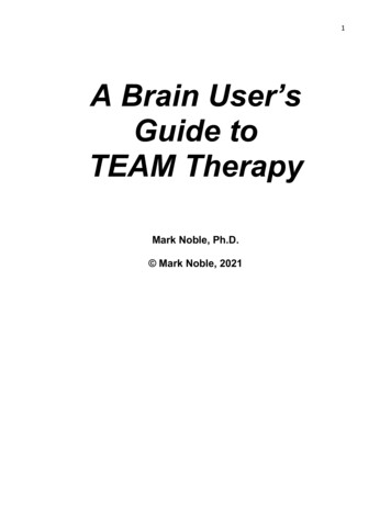 A Brain User's Guide To TEAM Therapy V3