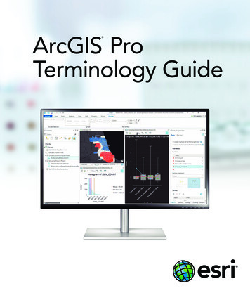 ArcGIS Pro Terminology Guide - Esri