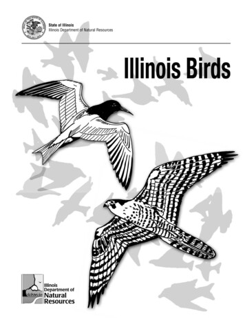 State Of Illinois Illinois Department Of Natural Resources