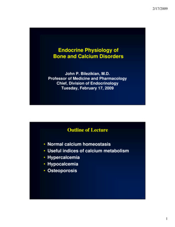 Endocrine Physiology Of Bone And Calcium Disorders