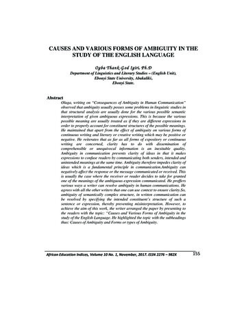 CAUSES AND VARIOUS FORMS OF AMBIGUITY IN THE STUDY 