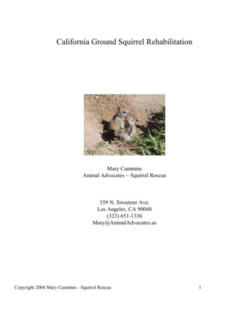 California Ground Squirrel Rehabilitation - Animal Advocates