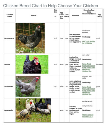 Chicken Breed Chart To Help Choose Your Chicken