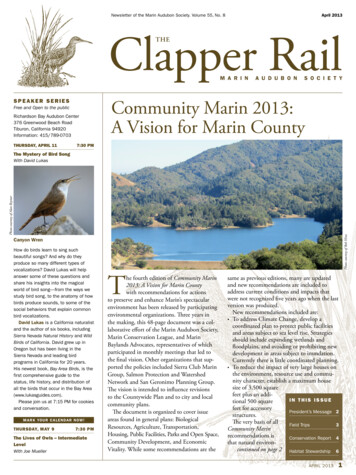 Clapper Rail - Marin Audubon Society
