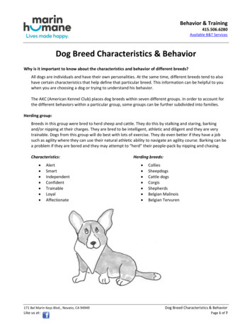 Dog Breed Characteristics & Behavior - Marin Humane