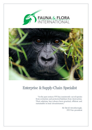 Enterprise & Supply-Chain Specialist