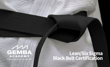 Lean/Six Sigma Black Belt Certification