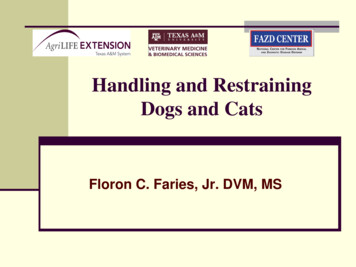 Handling And Restraining Dogs And Cats