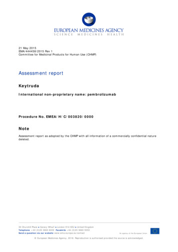 Assessment Report - Europa