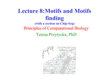 Lecture 8:Motifs And Motifs Finding