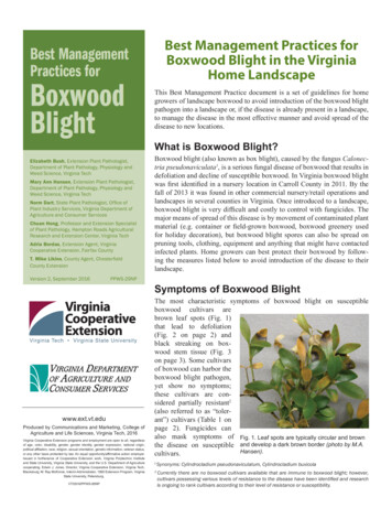 Best Management Practices For Boxwood Blight In The Virginia Home Landscape