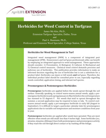 Herbicides For Weed Control In Turfgrass - TAMU