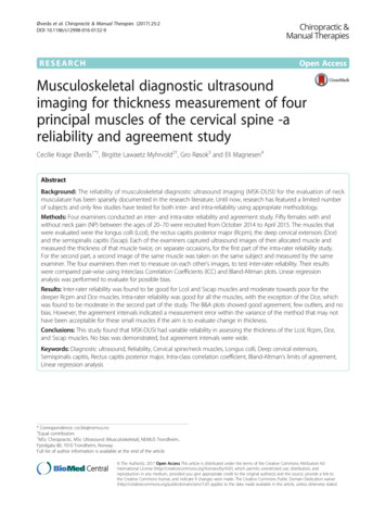 Musculoskeletal Diagnostic Ultrasound Imaging For .