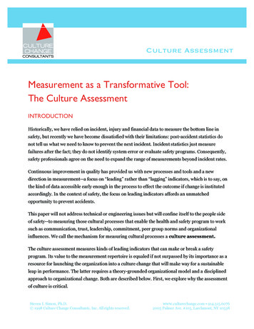Measurement As A Transformative Tool: The Culture 