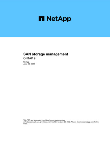 SAN Storage Management - NetApp