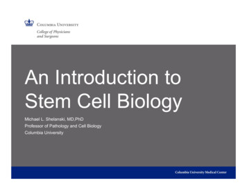 An Introduction To Stem Cell Biology