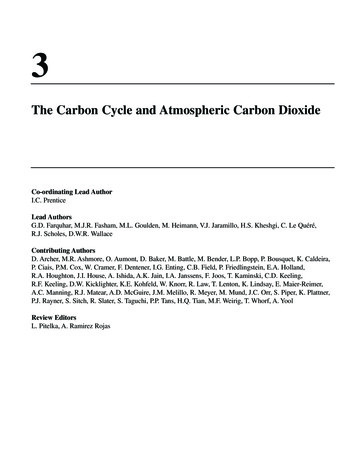 The Carbon Cycle And Atmospheric Carbon Dioxide