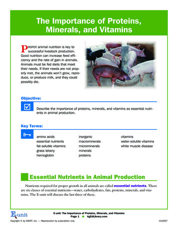 The Importance Of Proteins, Minerals, And Vitamins