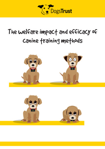Canine Training Methods The Welfare Impact And Efficacy Of
