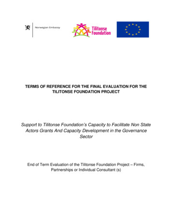 Actors Grants And Capacity Development In The Governance Sector