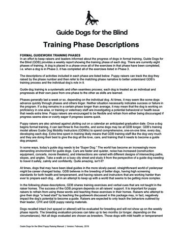 Training Phase Descriptions - Guide Dogs For The Blind