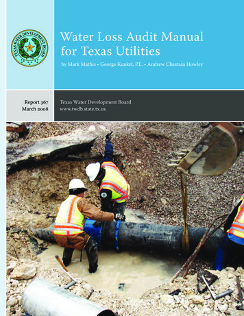Water Loss Audit Manual For Texas Utilities