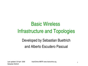Basic Wireless Infrastructure And Topologies