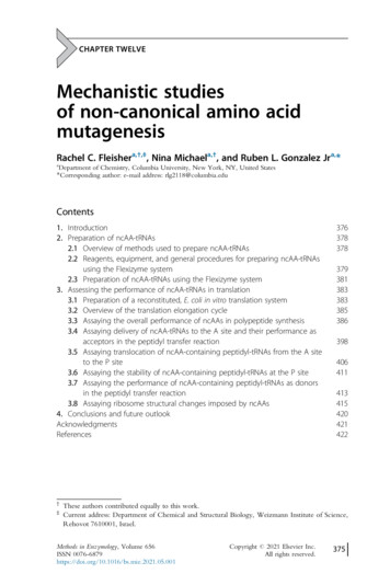 Mechanistic Studies Of Non-canonical Amino Acid Mutagenesis