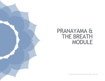 PRANAYAMA & THE BREATH MODULE - Avani Yoga Academy