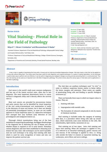 Vital Staining- Pivotal Role In The Field Of Pathology