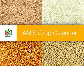 AMIS Crop Calendar
