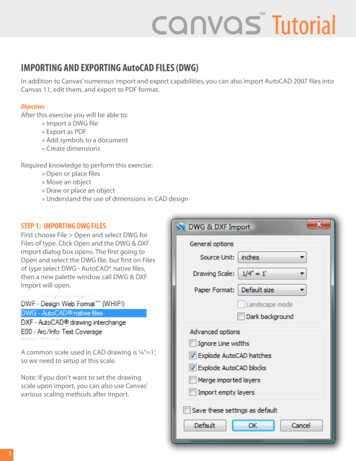 IMPORTING AND EXPORTING AutoCAD FILES (DWG)