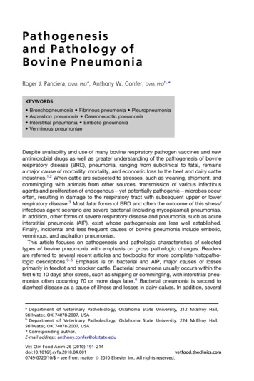 Pathogenesis And Pathology Of Bovine Pneumonia
