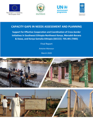 FINAL REPORT Capacity Gaps In Needs Assessment Planning - IGAD