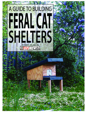 Building Feral Cat Shelters - FIVER Cats