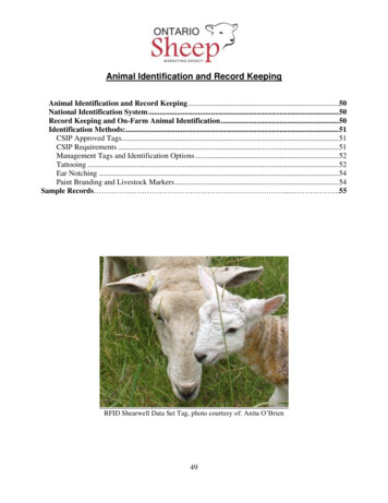 Animal Identification And Record Keeping - Ontario Sheep