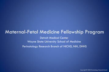 Maternal-Fetal Medicine Fellowship Program