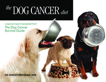 DOG CANCER Diet