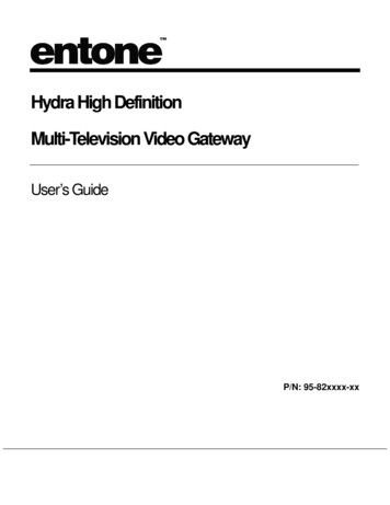 Hydra High Definition Multi-Television Video Gateway